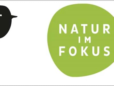 Fotowettbewerb "Natur im Fokus"