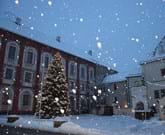 Christbaum LRA Schneetreiben.JPG