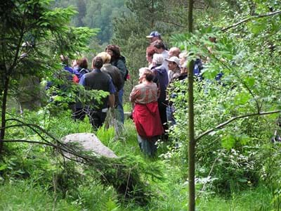 Bayern-Tour-Natur